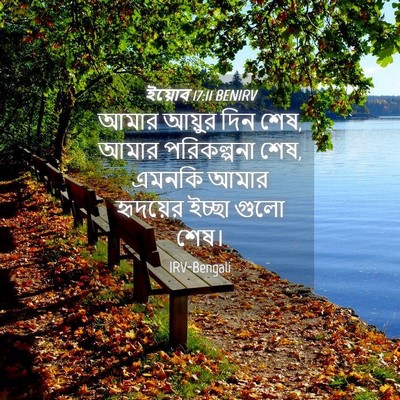 Picture 04 - ইয়োব 17:11 BENIRV - আমার আয়ুর দিন শেষ, - Bible Verse Picture