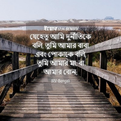 Picture 04 - ইয়োব 17:14 BENIRV - যেহেতু আমি - Bible Verse Picture