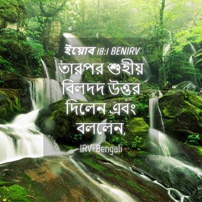 Picture 04 - ইয়োব 18:1 BENIRV - তারপর শুহীয় - Bible Verse Picture