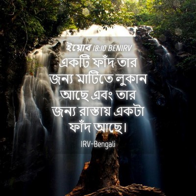 Picture 04 - ইয়োব 18:10 BENIRV - একটি ফাঁদ তার জন্য - Bible Verse Picture