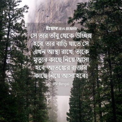 Picture 04 - ইয়োব 18:14 BENIRV - সে তার তাঁবু থেকে - Bible Verse Picture