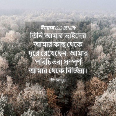 Picture 04 - ইয়োব 19:13 BENIRV - তিনি আমার ভাইদের - Bible Verse Picture