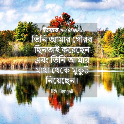Picture 04 - ইয়োব 19:9 BENIRV - তিনি আমার গৌরব - Bible Verse Picture
