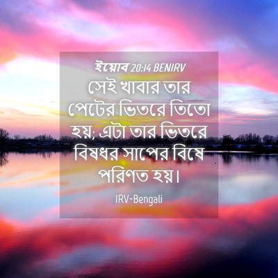 Picture 04 - ইয়োব 20:14 BENIRV - সেই খাবার তার - Bible Verse Picture