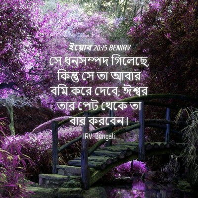 Picture 04 - ইয়োব 20:15 BENIRV - সে ধনসম্পদ গিলেছে, - Bible Verse Picture