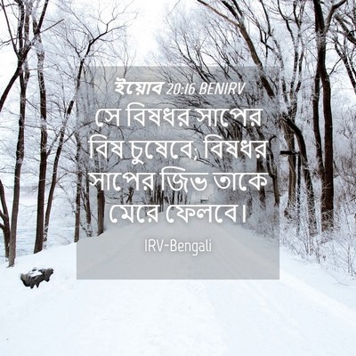 Picture 04 - ইয়োব 20:16 BENIRV - সে বিষধর সাপের বিষ - Bible Verse Picture