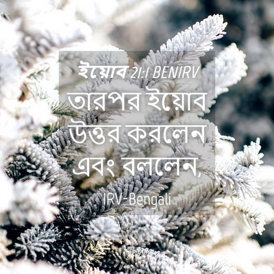 Picture 04 - ইয়োব 21:1 BENIRV - তারপর ইয়োব উত্তর - Bible Verse Picture