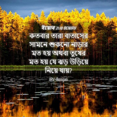 Picture 04 - ইয়োব 21:18 BENIRV - কতবার তারা - Bible Verse Picture