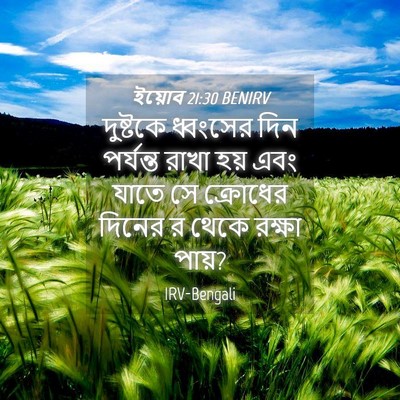 Picture 04 - ইয়োব 21:30 BENIRV - দুষ্টকে ধ্বংসের - Bible Verse Picture