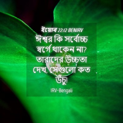 Picture 04 - ইয়োব 22:12 BENIRV - ঈশ্বর কি সর্বোচ্চ - Bible Verse Picture