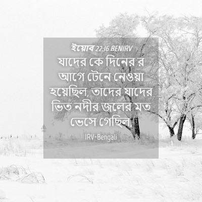 Picture 04 - ইয়োব 22:16 BENIRV - যাদের কে দিনের র - Bible Verse Picture