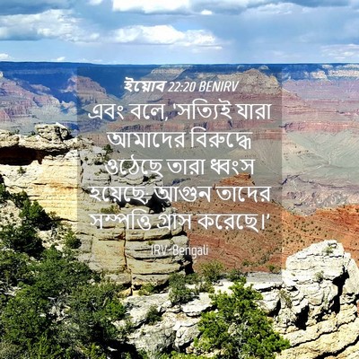 Picture 04 - ইয়োব 22:20 BENIRV - এবং বলে, ‘সত্যিই - Bible Verse Picture