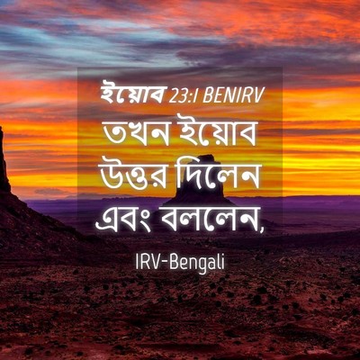 Picture 04 - ইয়োব 23:1 BENIRV - তখন ইয়োব উত্তর - Bible Verse Picture