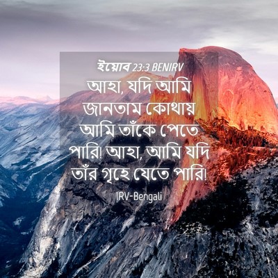 Picture 04 - ইয়োব 23:3 BENIRV - আহা, যদি আমি জানতাম - Bible Verse Picture