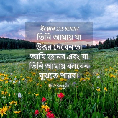 Picture 04 - ইয়োব 23:5 BENIRV - তিনি আমায় যা - Bible Verse Picture