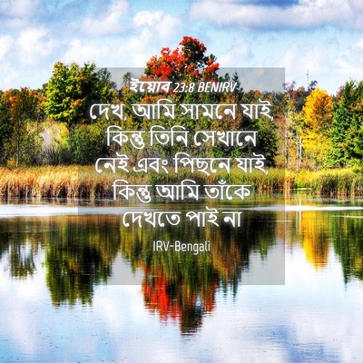 Picture 04 - ইয়োব 23:8 BENIRV - দেখ, আমি সামনে যাই, - Bible Verse Picture