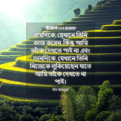 Picture 04 - ইয়োব 23:9 BENIRV - বামদিকে, যেখানে - Bible Verse Picture