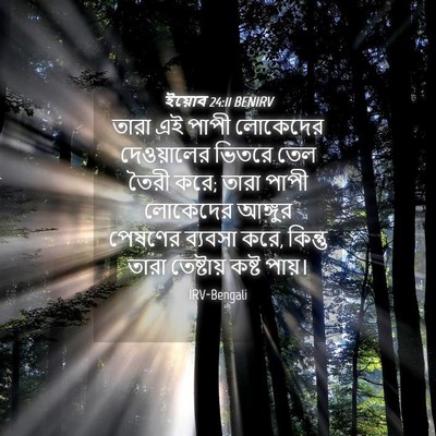 Picture 04 - ইয়োব 24:11 BENIRV - তারা এই পাপী - Bible Verse Picture