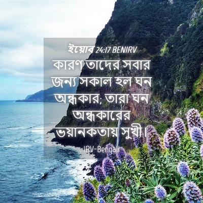Picture 04 - ইয়োব 24:17 BENIRV - কারণ তাদের সবার - Bible Verse Picture