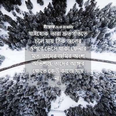 Picture 04 - ইয়োব 24:18 BENIRV - যাইহোক, তারা - Bible Verse Picture