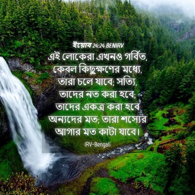 Picture 04 - ইয়োব 24:24 BENIRV - এই লোকেরা এখনও - Bible Verse Picture
