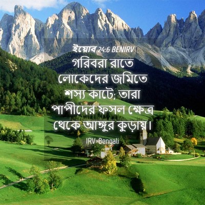 Picture 04 - ইয়োব 24:6 BENIRV - গরিবরা রাতে - Bible Verse Picture