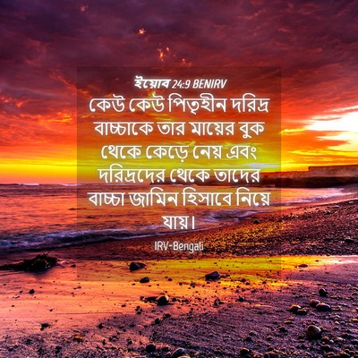 Picture 04 - ইয়োব 24:9 BENIRV - কেউ কেউ পিতৃহীন - Bible Verse Picture