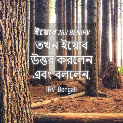 Picture 04 - ইয়োব 26:1 BENIRV - তখন ইয়োব উত্তর - Bible Verse Picture