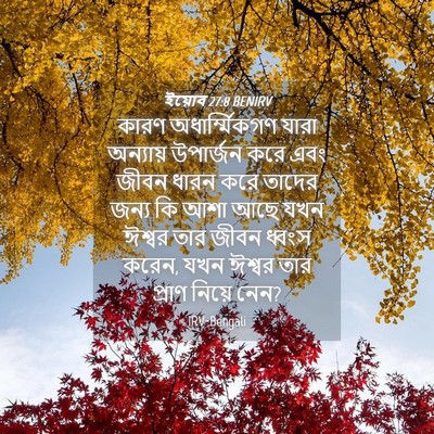 Picture 04 - ইয়োব 27:8 BENIRV - কারণ অধার্ম্মিকগণ - Bible Verse Picture