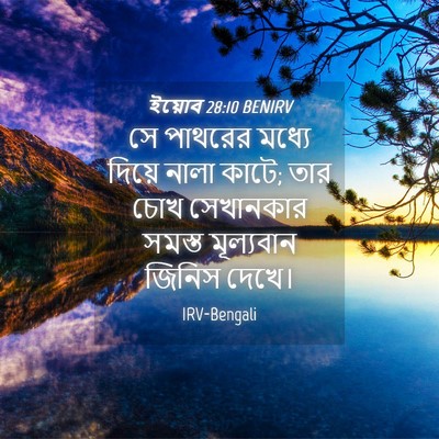 Picture 04 - ইয়োব 28:10 BENIRV - সে পাথরের মধ্যে - Bible Verse Picture
