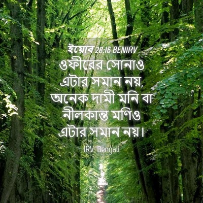 Picture 04 - ইয়োব 28:16 BENIRV - ওফীরের সোনাও এটার - Bible Verse Picture