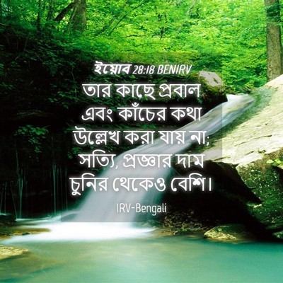 Picture 04 - ইয়োব 28:18 BENIRV - তার কাছে প্রবাল - Bible Verse Picture