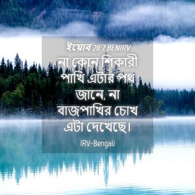 Picture 04 - ইয়োব 28:7 BENIRV - না কোন শিকারী পাখি - Bible Verse Picture
