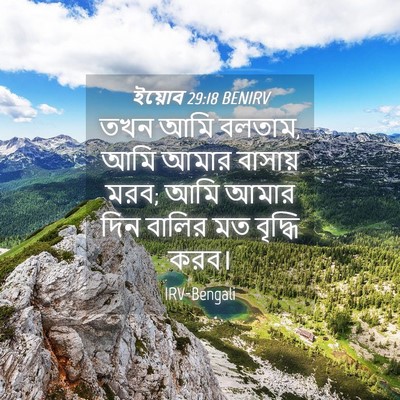 Picture 04 - ইয়োব 29:18 BENIRV - তখন আমি বলতাম, আমি - Bible Verse Picture