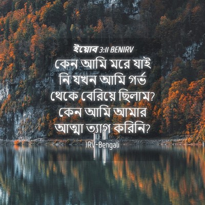 Picture 04 - ইয়োব 3:11 BENIRV - কেন আমি মরে যাই নি - Bible Verse Picture