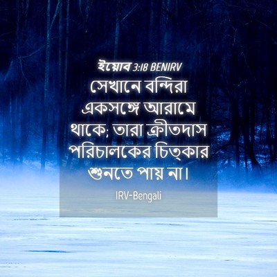 Picture 04 - ইয়োব 3:18 BENIRV - সেখানে বন্দিরা - Bible Verse Picture