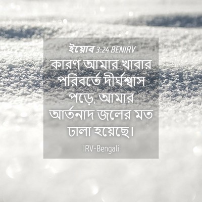 Picture 04 - ইয়োব 3:24 BENIRV - কারণ আমার খাবার - Bible Verse Picture