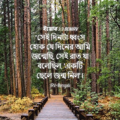 Picture 04 - ইয়োব 3:3 BENIRV - “সেই দিনটা ধ্বংস - Bible Verse Picture