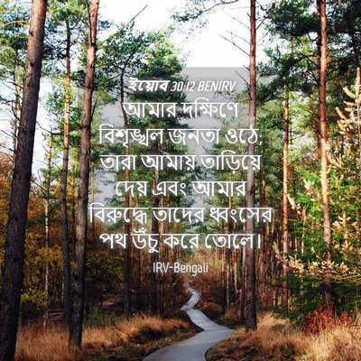 Picture 04 - ইয়োব 30:12 BENIRV - আমার দক্ষিণে - Bible Verse Picture