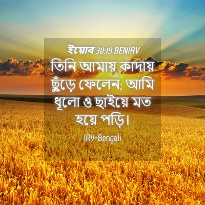 Picture 04 - ইয়োব 30:19 BENIRV - তিনি আমায় কাদায় - Bible Verse Picture