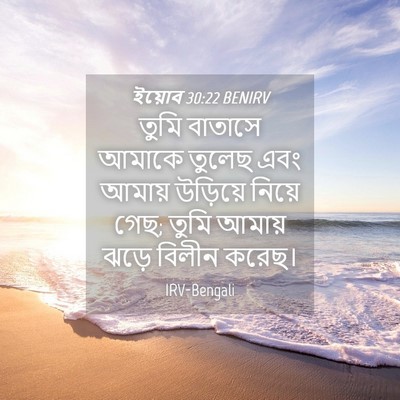 Picture 04 - ইয়োব 30:22 BENIRV - তুমি বাতাসে আমাকে - Bible Verse Picture