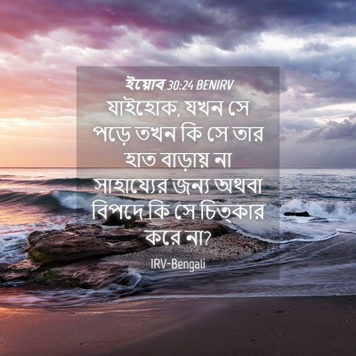 Picture 04 - ইয়োব 30:24 BENIRV - যাইহোক, যখন সে পড়ে - Bible Verse Picture