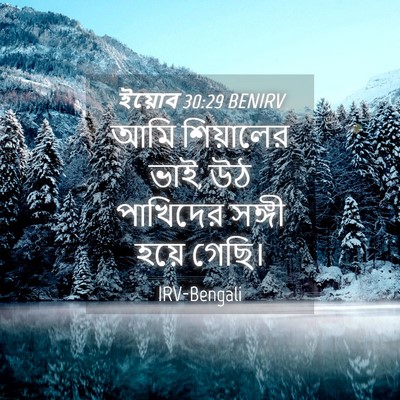 Picture 04 - ইয়োব 30:29 BENIRV - আমি শিয়ালের ভাই, - Bible Verse Picture