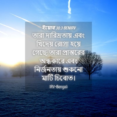 Picture 04 - ইয়োব 30:3 BENIRV - তারা দারিদ্রতায় - Bible Verse Picture