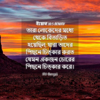 Picture 04 - ইয়োব 30:5 BENIRV - তারা লোকেদের - Bible Verse Picture