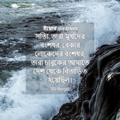 Picture 04 - ইয়োব 30:8 BENIRV - সত্যি, তারা - Bible Verse Picture