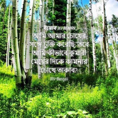 Picture 04 - ইয়োব 31:1 BENIRV - আমি আমার চোখের - Bible Verse Picture