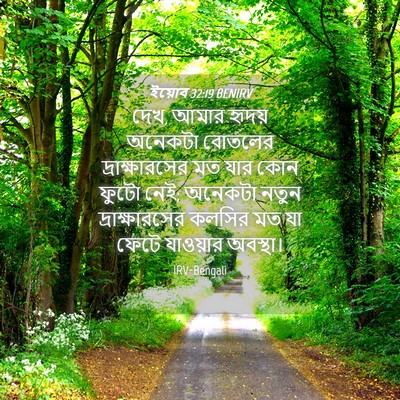 Picture 04 - ইয়োব 32:19 BENIRV - দেখ, আমার হৃদয় - Bible Verse Picture