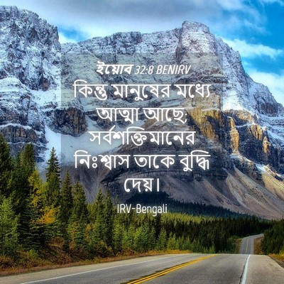 Picture 04 - ইয়োব 32:8 BENIRV - কিন্তু মানুষের - Bible Verse Picture