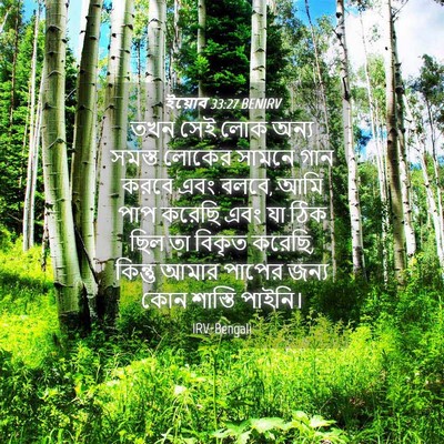 Picture 04 - ইয়োব 33:27 BENIRV - তখন সেই লোক অন্য - Bible Verse Picture